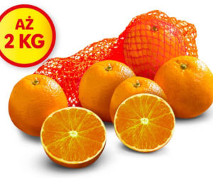 Promocje Lidla na weekend