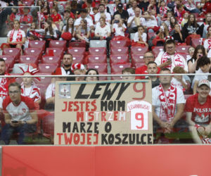 Kibice na meczu Polska-Nigeria