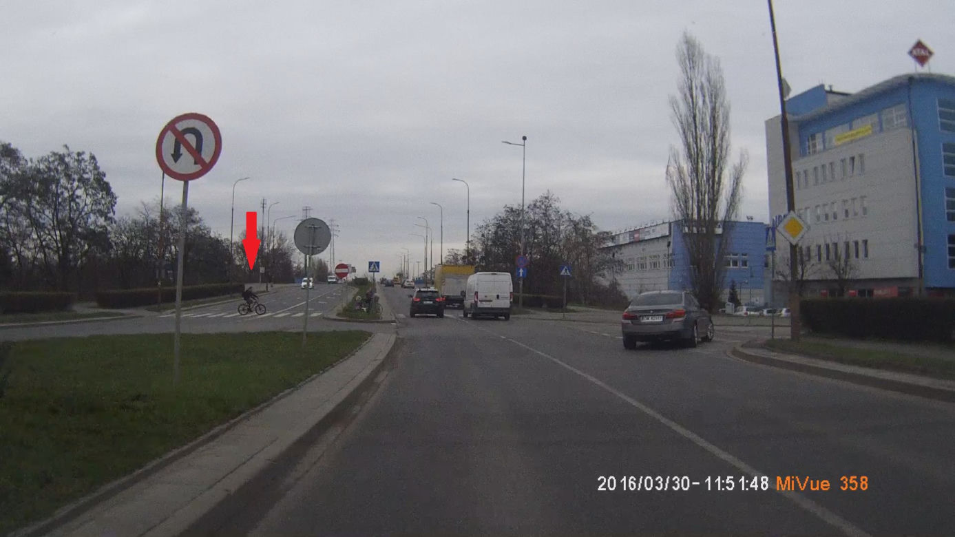Wrocławskie jelenie rowerowe