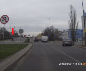 Wrocławskie jelenie rowerowe