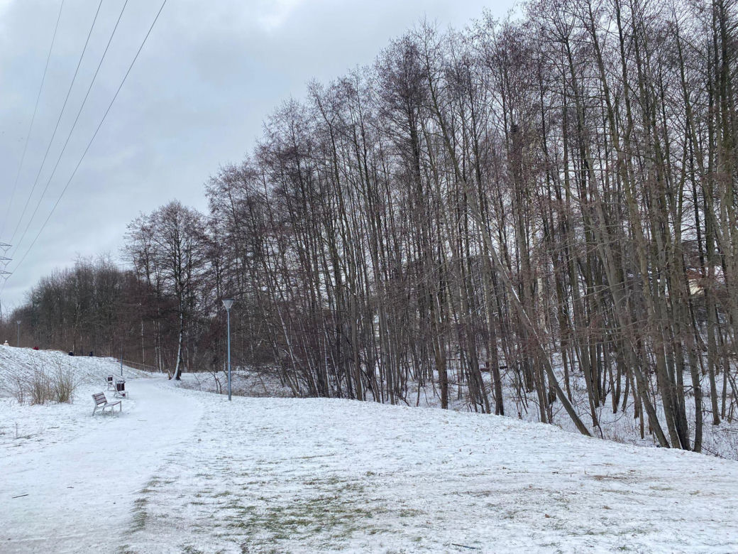 Zimowa aura w Zielonej Górze w 2025. Jak długo się utrzyma?