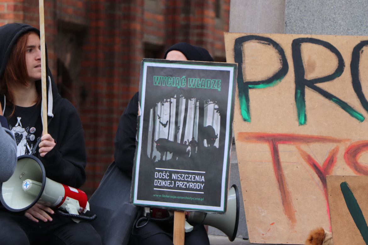 Młodzieżowy Strajk Klimatyczny w Toruniu. Protestowali przeciwko rządowi i korporacjom
