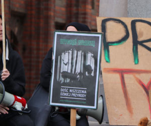 Młodzieżowy Strajk Klimatyczny w Toruniu. Protestowali przeciwko rządowi i korporacjom