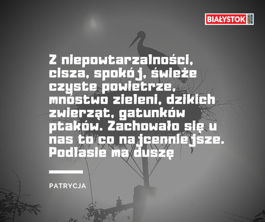 Z czego słynie woj. podlaskie? Odpowiedzi Internautów
