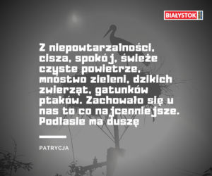 Z czego słynie woj. podlaskie? Odpowiedzi Internautów