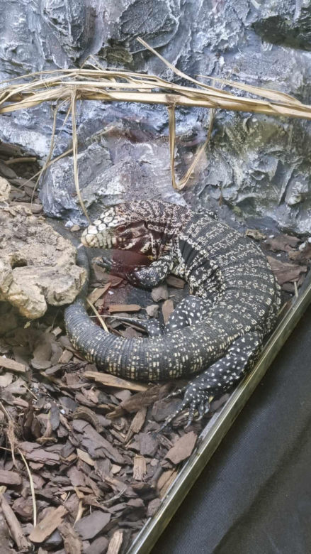 Targi Exotic Fest odbyły się w Poznaniu