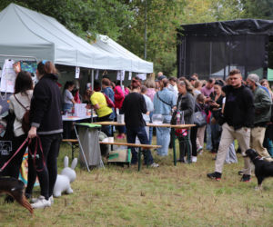 XIII Piknik Przyjaciół Schroniska w Toruniu. Fotorelacja z imprezy