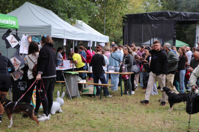 XIII Piknik Przyjaciół Schroniska w Toruniu. Fotorelacja z imprezy