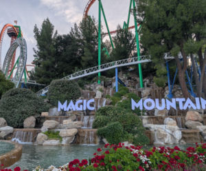 Zeszły z rollercoastera i zaczęły się dramatyczne objawy. Dwie kobiety przeszły operacje mózgu