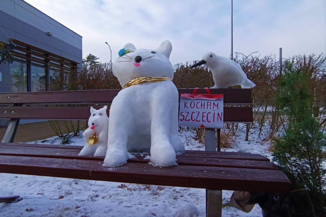 Rzeźby ze śniegu na pętli Głębokie