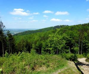 Równica (885 m n.p.m.)