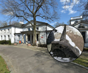 Niesamowite znalezisko pod Płockiem. Natrafił na nie operator koparki