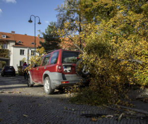 Wrocław. Wichura zwaliła drzewo na samochód