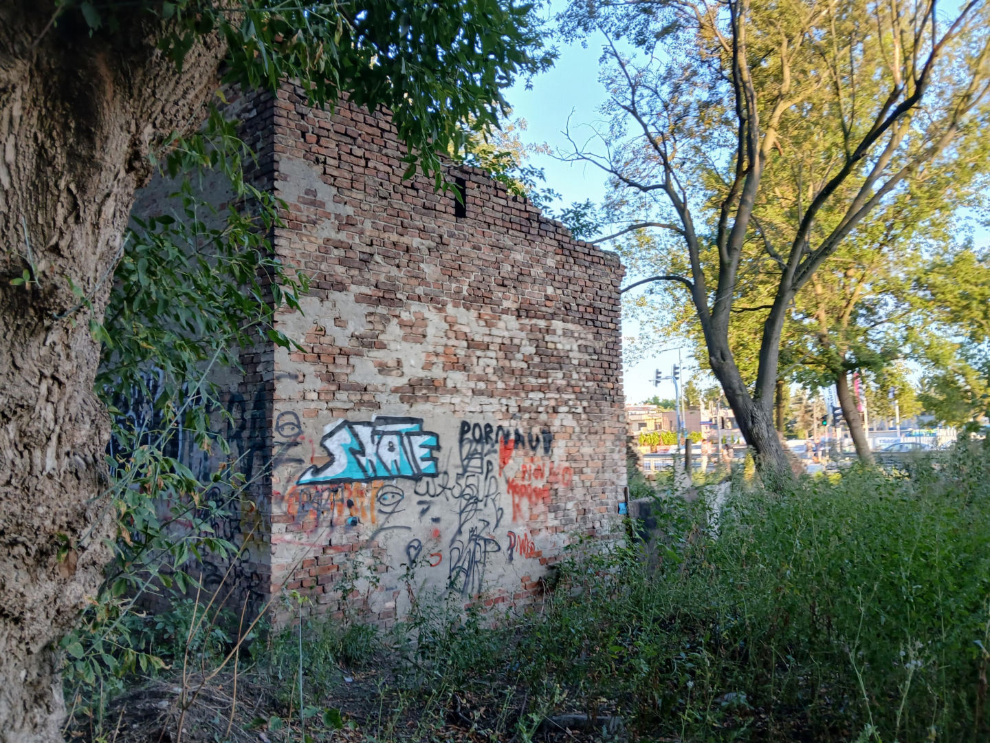 Pustostan przy Ryżowej 80 w Warszawie
