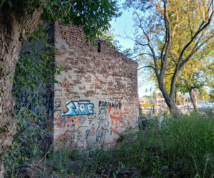 Pustostan przy Ryżowej 80 w Warszawie