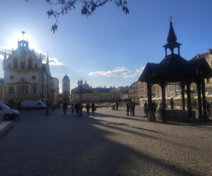 Ruszył sezon ogródkowy w Rzeszowie [GALERIA]