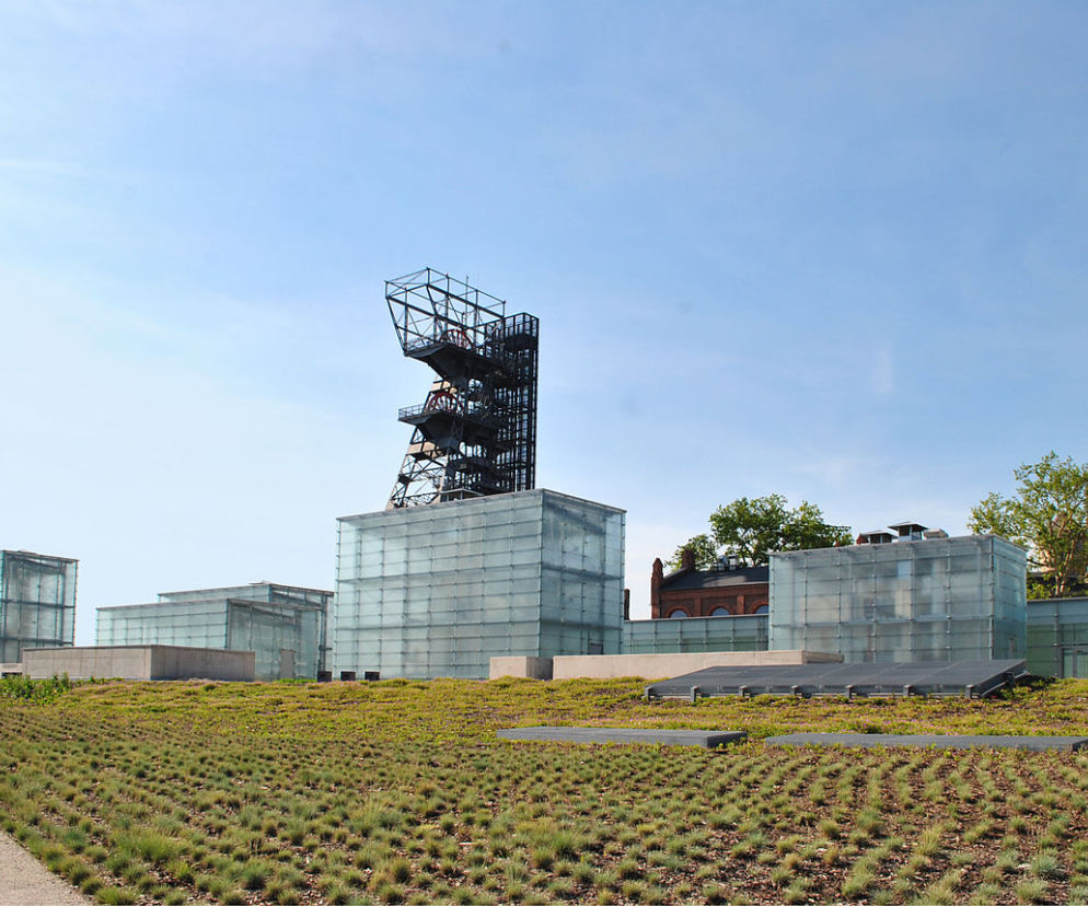 Muzeum Śląskie