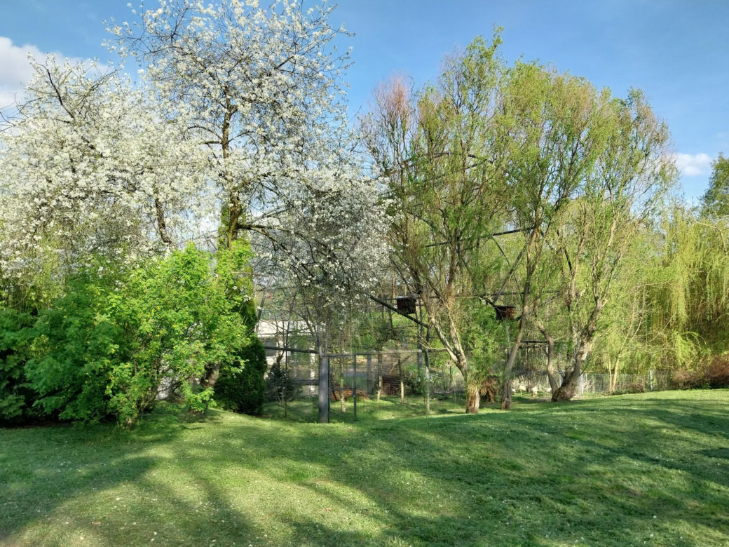 Wiosenny spacer w zamojskim zoo