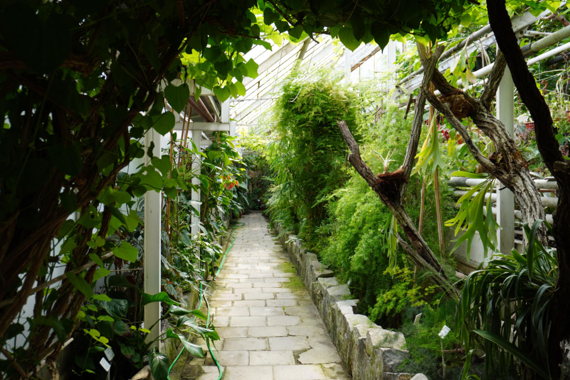 Ogród Botaniczny w Lublinie