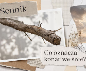 Konar we śnie: znaczenie snu i najczęstsze interpretacje