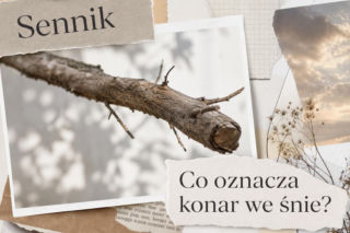 Konar we śnie: znaczenie snu i najczęstsze interpretacje