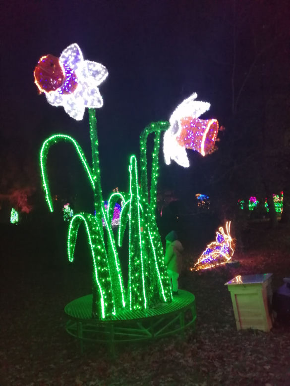 Park Iluminacji w Poznaniu