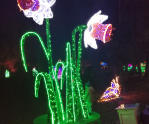 Park Iluminacji w Poznaniu