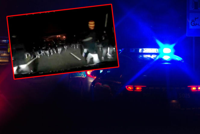 Sceny jak z „Furiozy”, kibole starli się na środku S8! Ważny apel policji