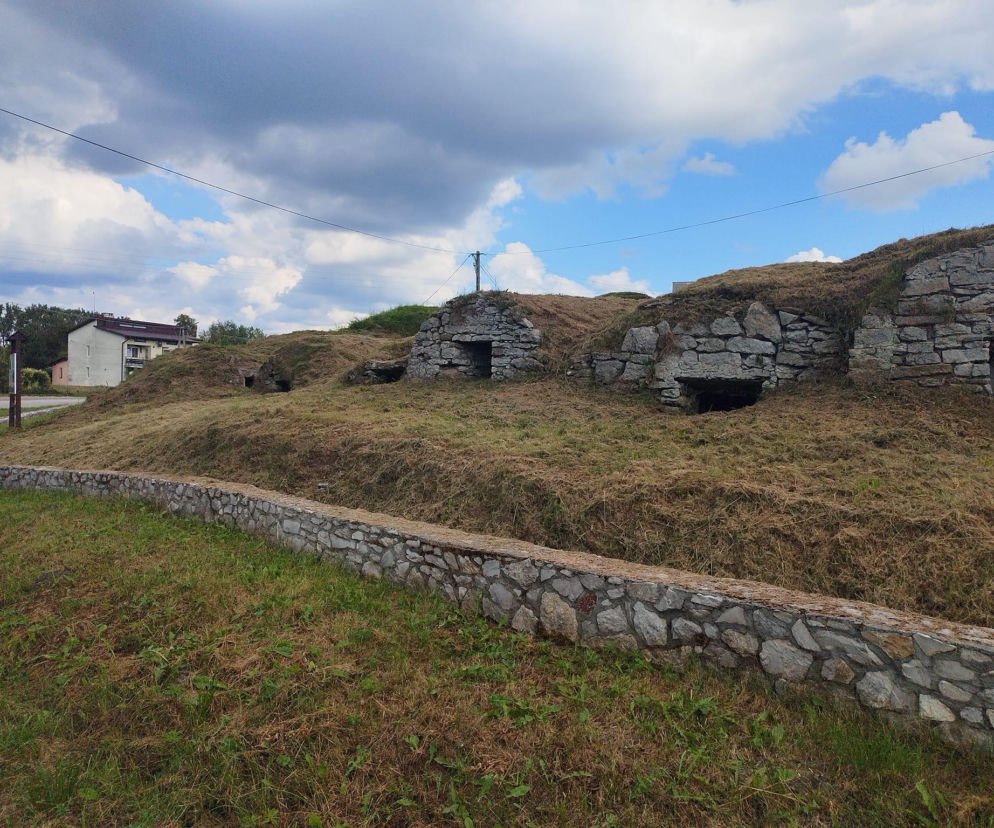 80 piwnic, których nie znałeś. „Polski Hobbiton” w sercu województwa świętokrzyskiego
