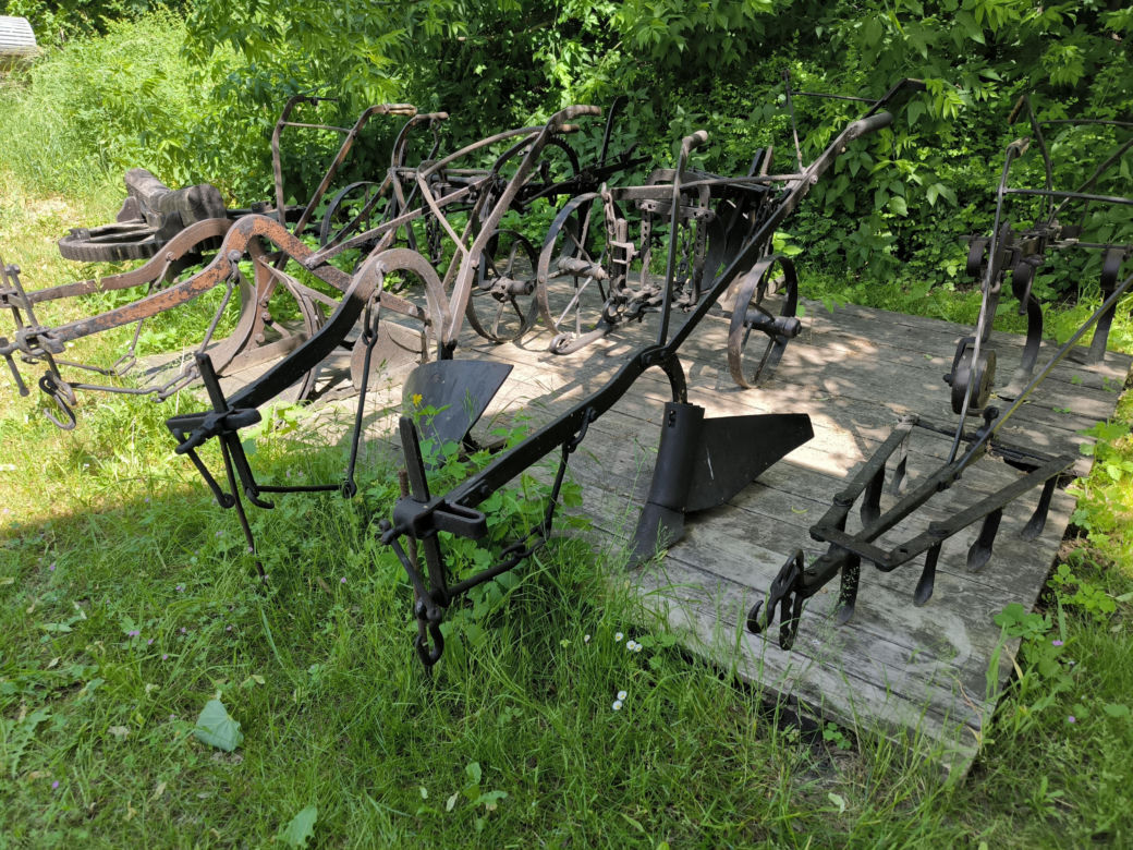 Skansen w Wolsztynie