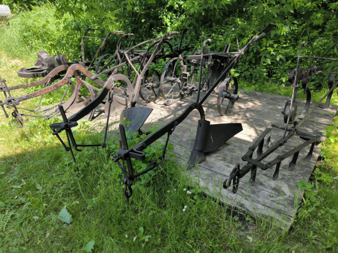 Skansen w Wolsztynie