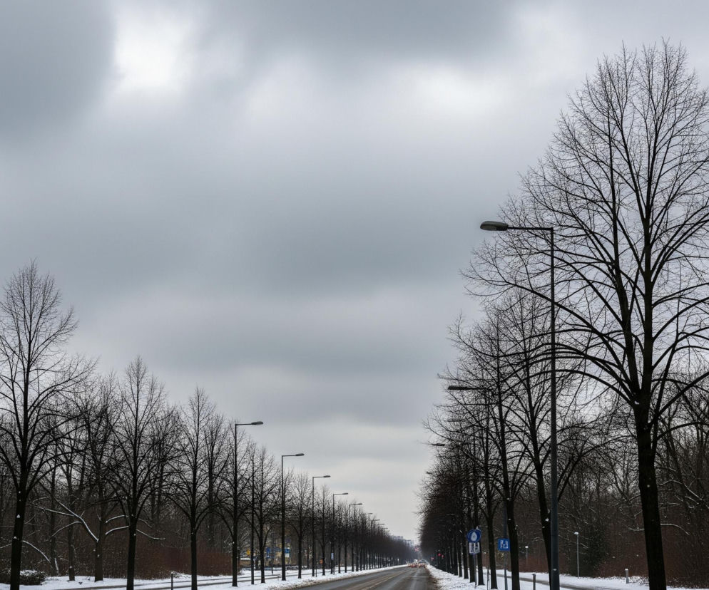 Zasśnieżona ulica z ciemnym, mokrym asfaltem ciągnie się w głąb obrazu, otoczona rzędami bezlistnych drzew. Drzewa o ciemnych, nagich gałęziach stoją wzdłuż drogi, po lewej i prawej stronie, a za nimi widać zasśnieżony grunt pokryty warstwą białego puchu. Na poboczach widoczne są również słupy latarni ulicznych z prostymi, poziomymi ramionami, oraz pojedyncze znaki drogowe. Szare, zachmurzone niebo dominuje górną część kadru, z jaśniejszymi fragmentami wskazującymi na przebijające się światło.