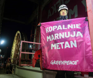Greenpeace Knurów