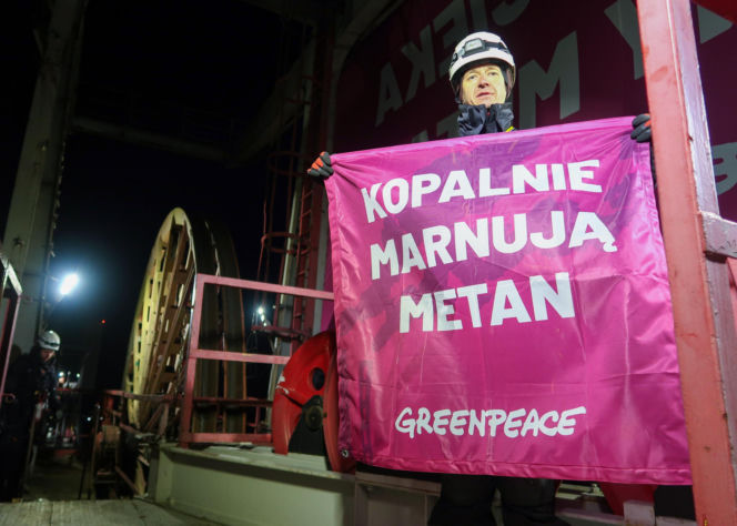 Greenpeace Knurów