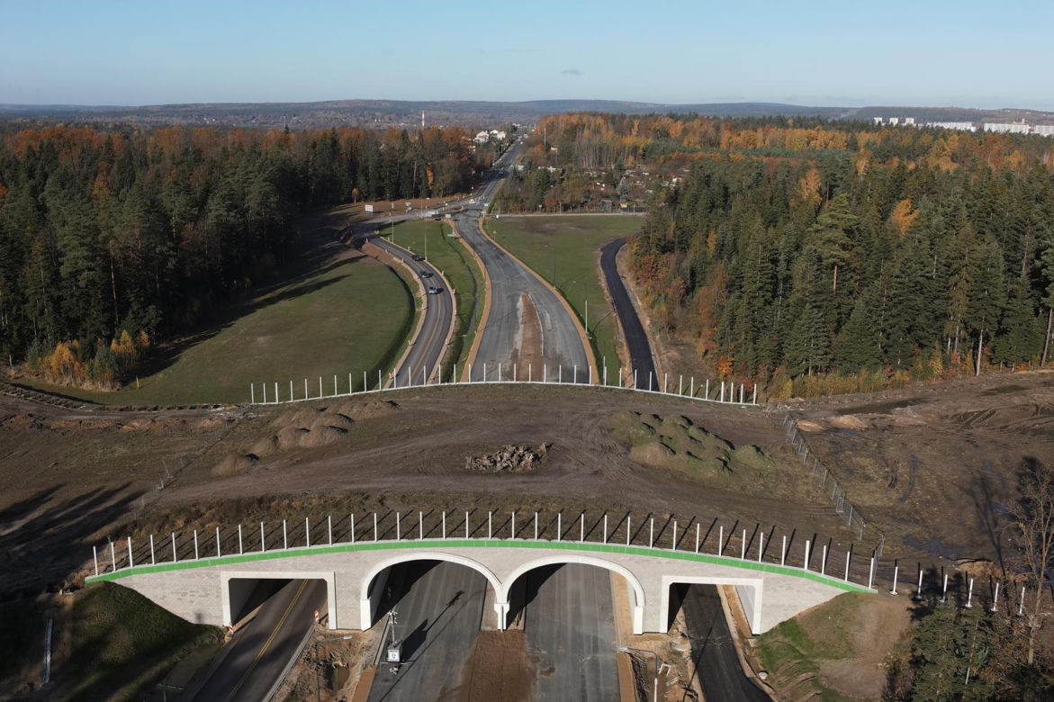 Obwodnica Wąchocka i Parszowa grudzień 2025