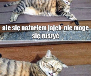 Memy Wielkanoc 2020