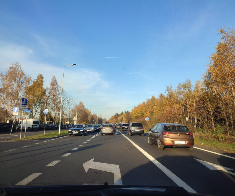 Leszno – Rydzyna: Najbardziej zatłoczona droga w regionie? Mamy nowe dane! 