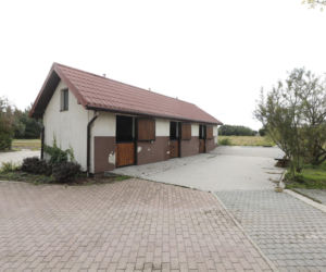 Stadnina koni