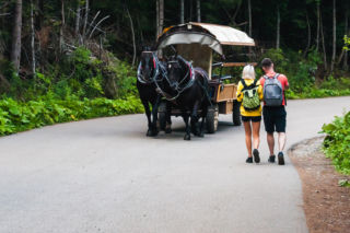 TPN skrócił trasę nad Morskie Oko. Konie już nie dowożą do Włosienicy