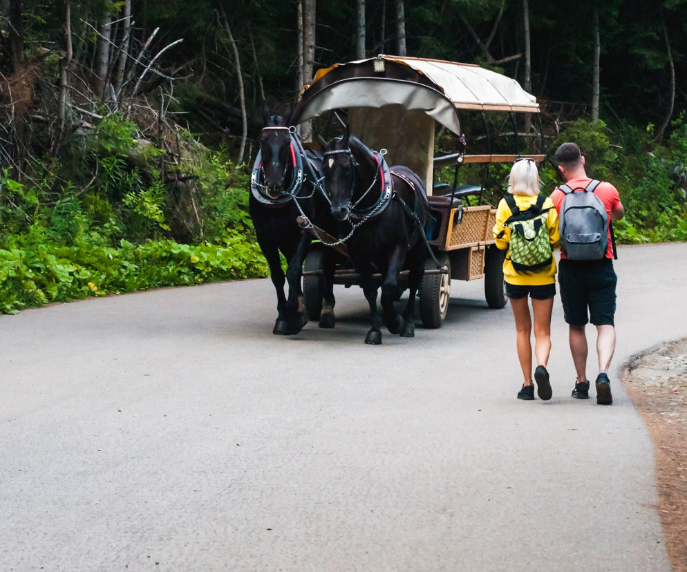 TPN skrócił trasę nad Morskie Oko. Konie już nie dowożą do Włosienicy