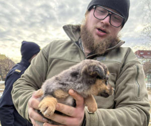 Doda cudem uniknęła śmierci! Właścicielka wyrzuciła ją do kontenera na elektrośmieci