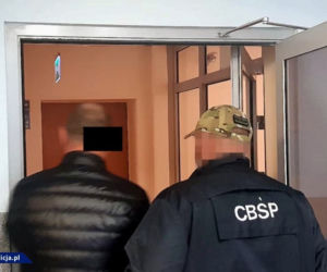 Łupy gangu luksusowych aut. Zobaczcie!