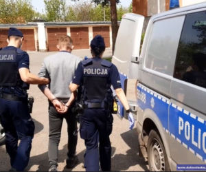 Bestialsko zakatował psa młotkiem