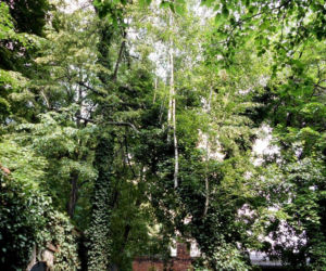Cmentarz żydowski w Katowicach