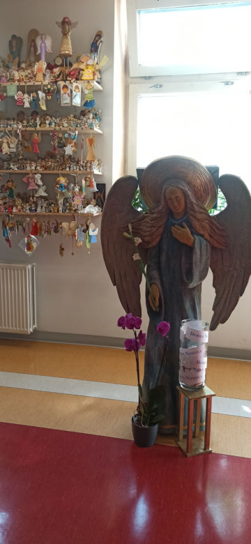 Kamilek pośród setek innych Aniołków. Ten widok wyciska łzy. „Wyjątkowe miejsce” 