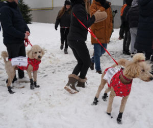 Schronisko dla psów w Sobolewie zamknięte. Jeszcze w sobotę, 24 stycznia, protestowali pod nim mieszkańcy [ZDJĘCIA].