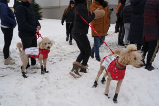 Schronisko dla psów w Sobolewie zamknięte. Jeszcze w sobotę, 24 stycznia, protestowali pod nim mieszkańcy [ZDJĘCIA].