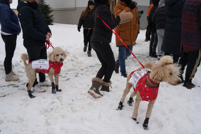 Schronisko dla psów w Sobolewie zamknięte. Jeszcze w sobotę, 24 stycznia, protestowali pod nim mieszkańcy [ZDJĘCIA].