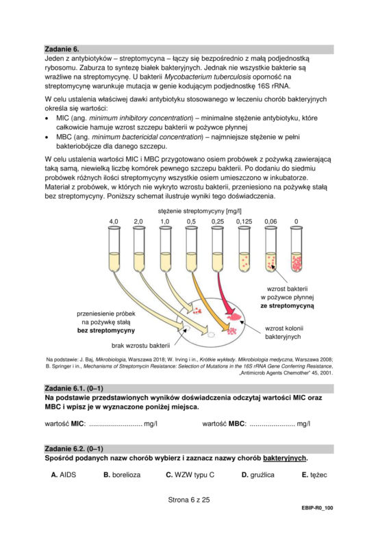 Matura 2022: biologia rozszerzona. Arkusze CKE, zadania, pytania. Poziom rozszerzony