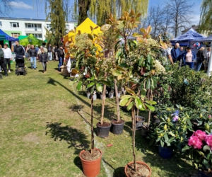 Impreza Wiosna na polu i w ogrodzie odbyła się w Siedlcach już po raz 18.